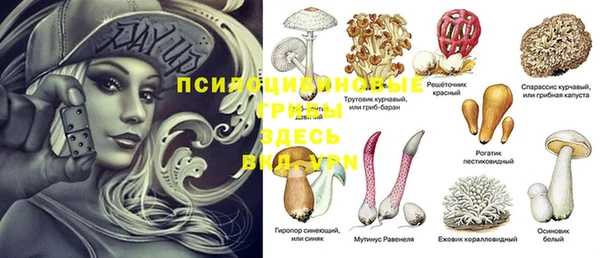 2c-b Алексин