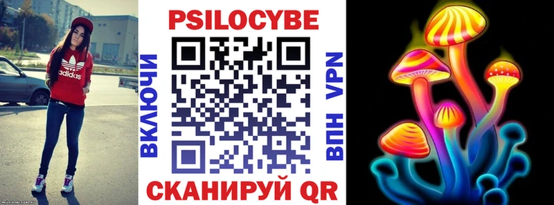 наркошоп  Южно-Сухокумск  Галлюциногенные грибы Psilocybe 
